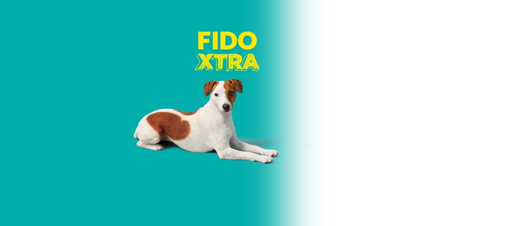 Fido ca sale home